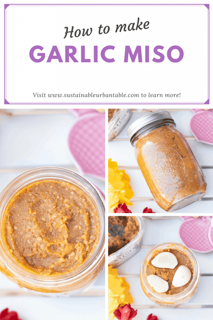 Garlic fermented in miso Pinterest