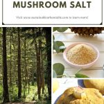 Foraged Mushroom Salt Pinterest