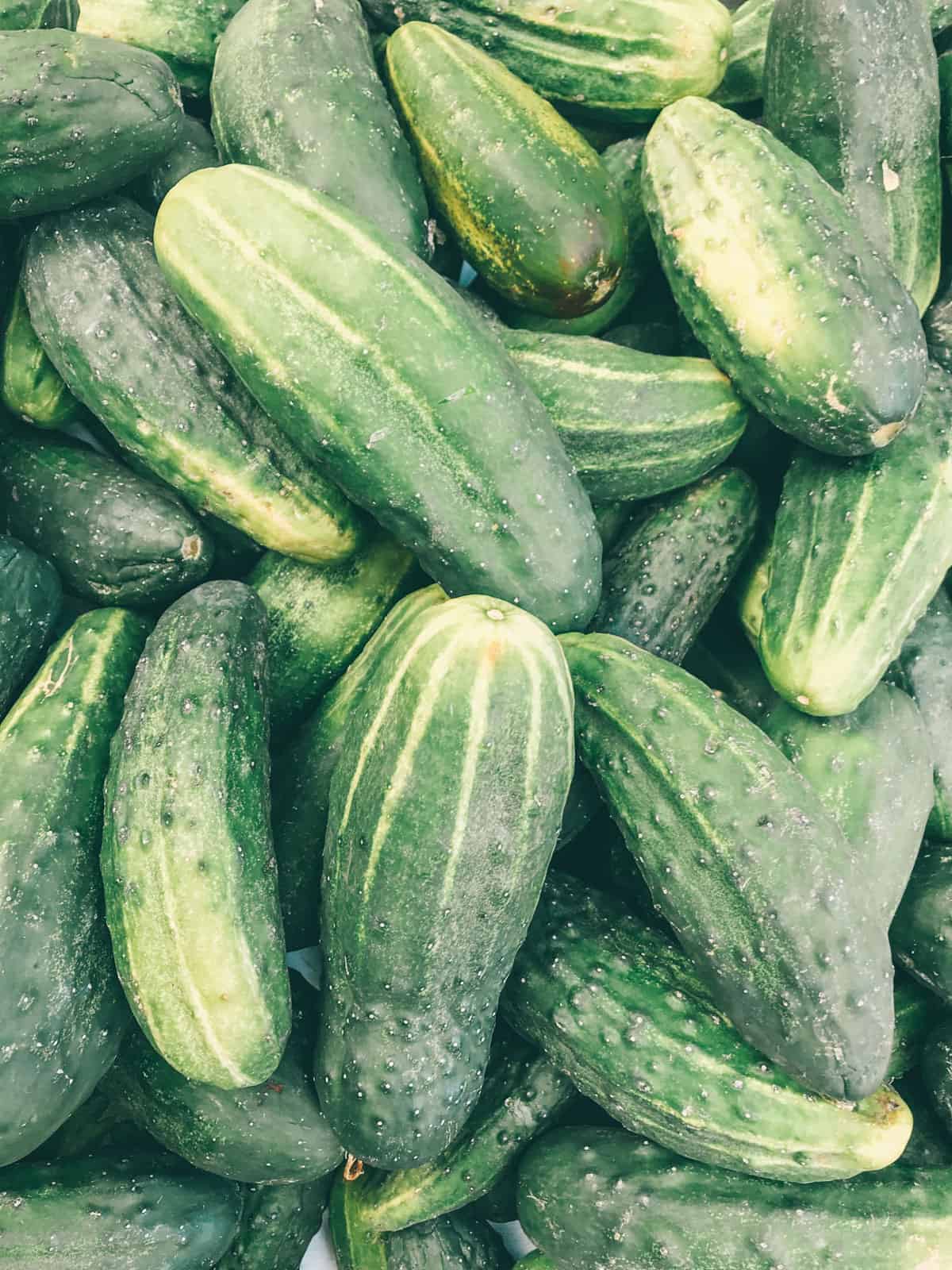 Small-cucumbers