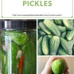 Sour-Pickles-Pinterest