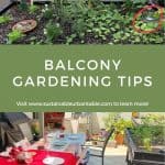 Balcony Gardening Tips Pinterest