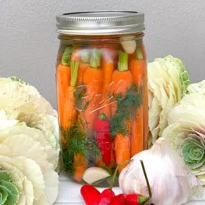 Fermented Carrots