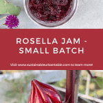 Rosella Jam in the top rectangle and rosella fruit in the bottom rectangle Pinterest Image