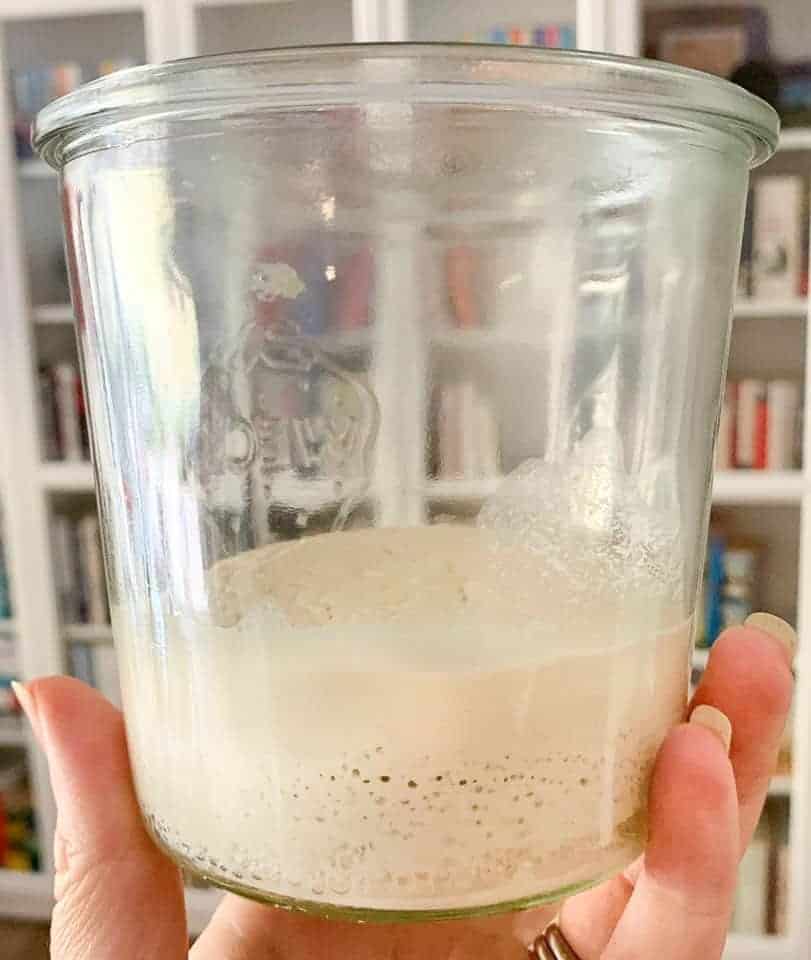 Gluten free sourdough starter