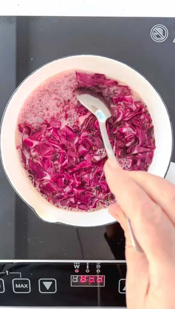 A white pot filled with red cabbage, apple cider vinegar, and water is boiling on a single induction cook top. A white hand is stirring the mixture with a silver spoon.