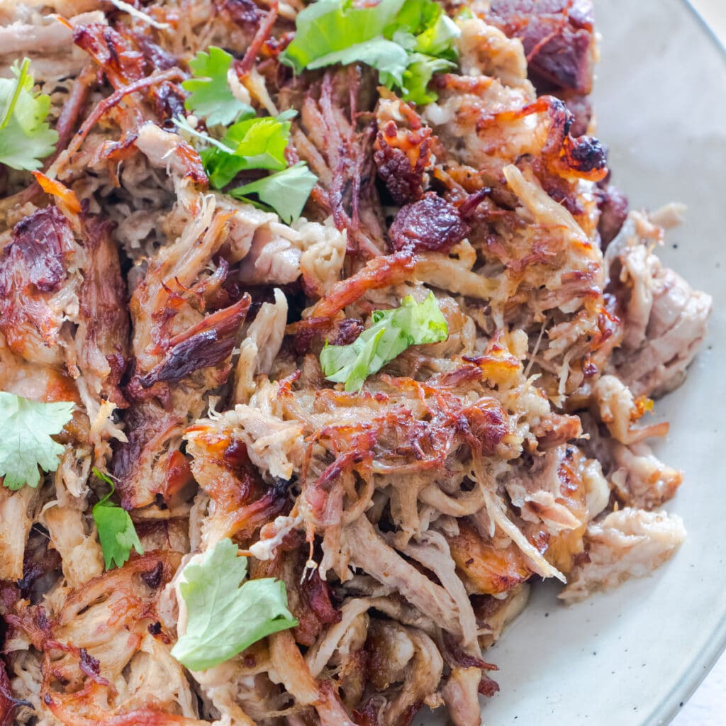 A close up of carnitas sprinkled with chopped cilantro (coriander) spread out on a plate.