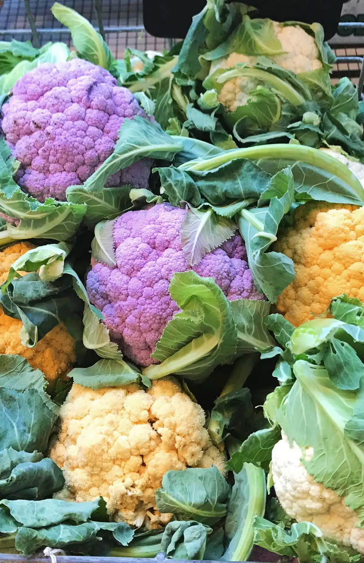 A collection of coloured cauliflowers in yellow, white and purple are sitting on a farmers market table.