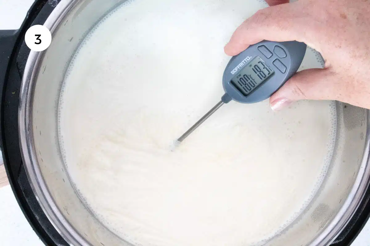A white hand has a digital thermometer sitting in the just-boiled milk. It reads 183ºF.