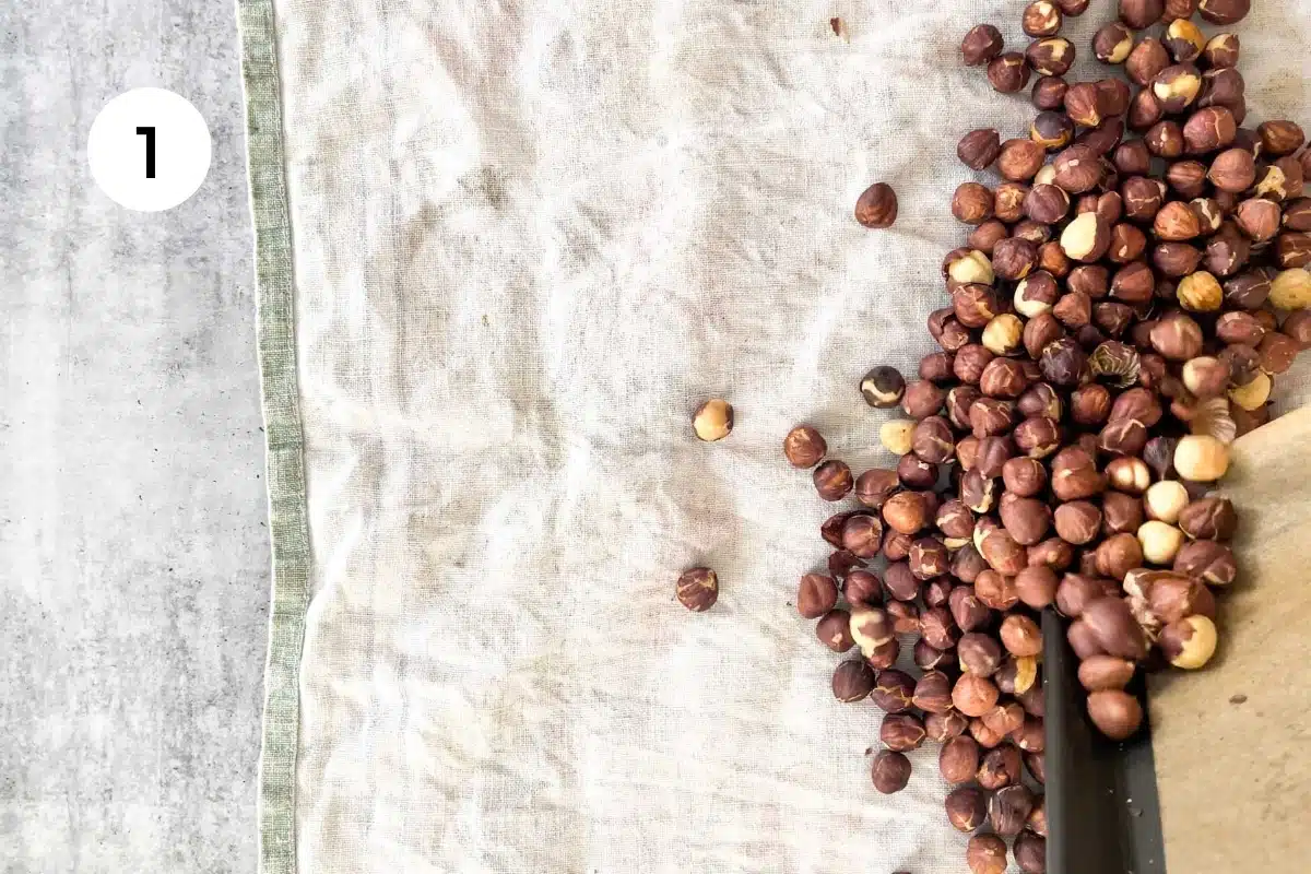 Roasted hazelnuts are being poured off a tray into a tea towel.