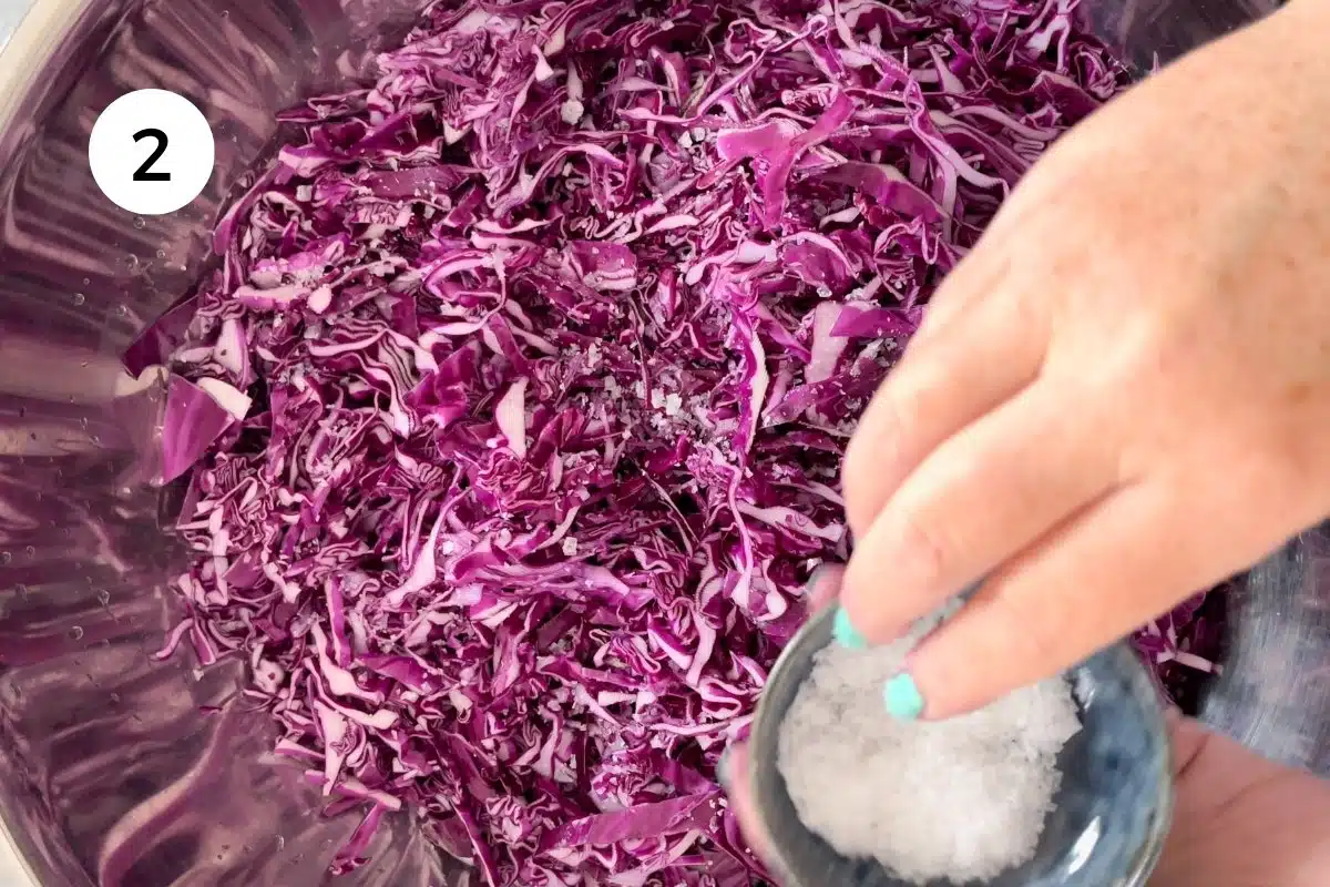 A white hand is taking salt from a small bowl to sprinkle over sliced red cabbage in a large steel bowl.