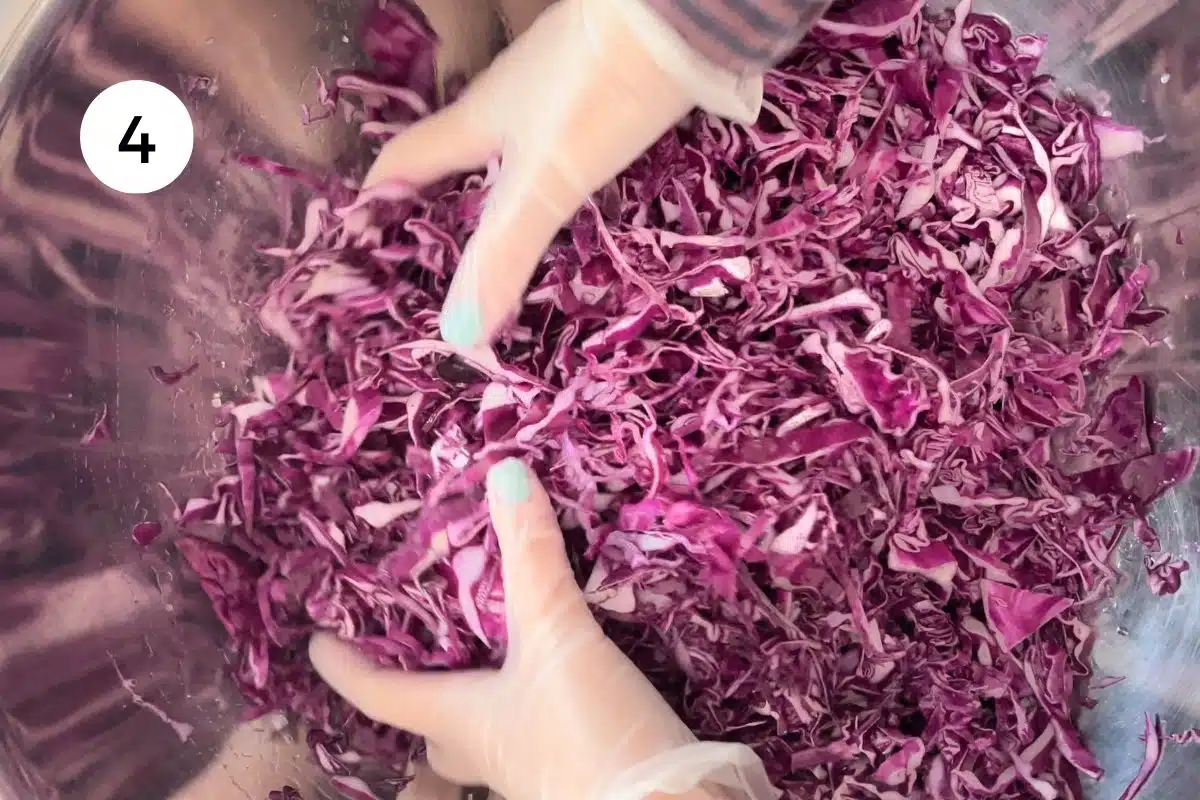 Two hands wearing gloves are massaging the salt into the red cabbage in a big steel bowl.