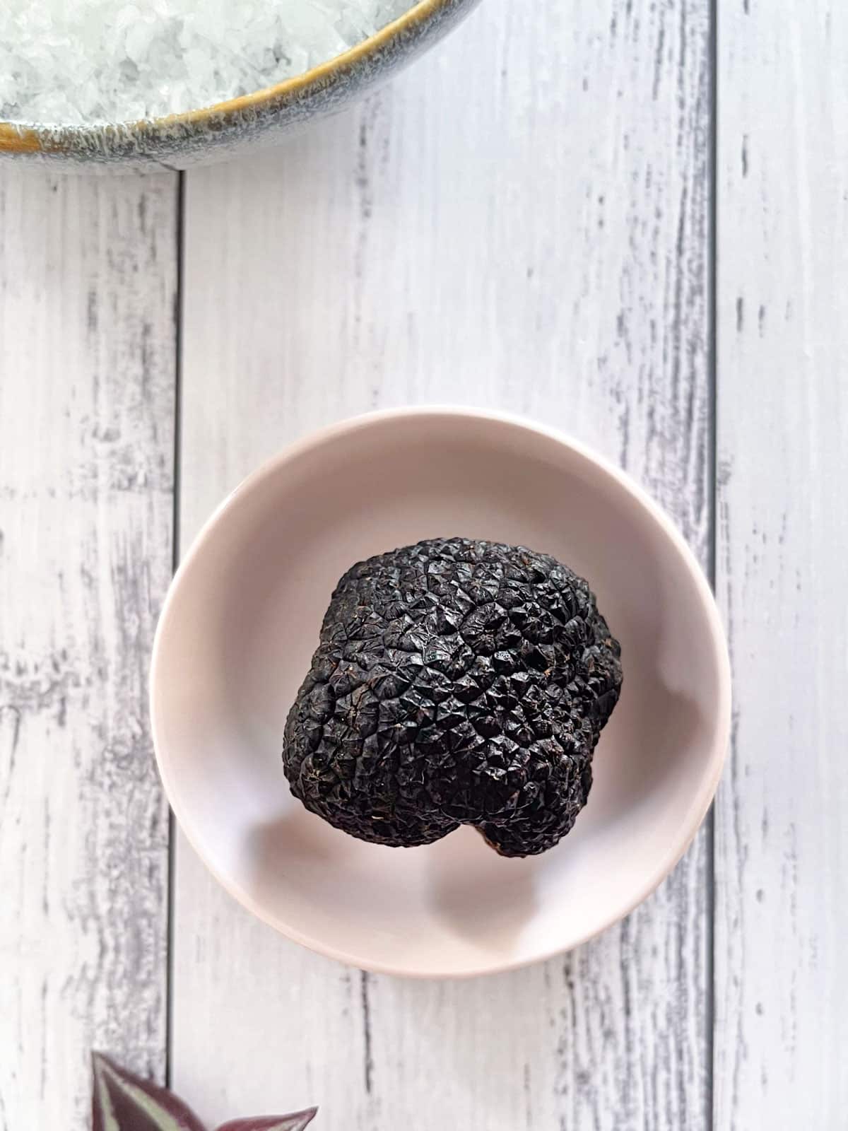 A dark black truffle is sitting on a small pink dish in the middle of a table.