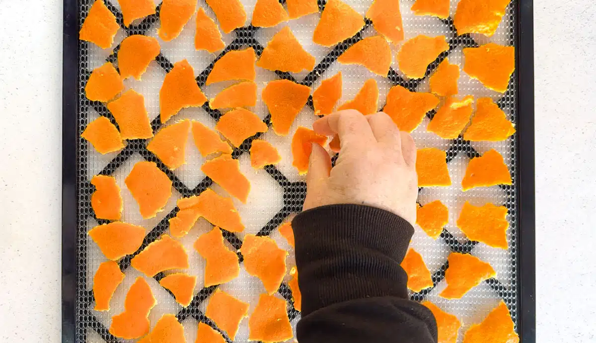 A white hand is laying out pieces of Mandarin Peel on a mesh dehydrator tray.
